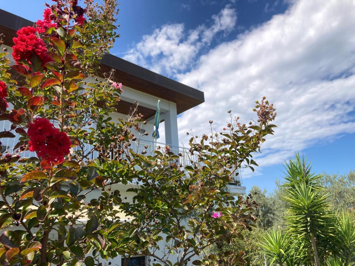 Torrevecchia Teatina Gioia In Collina Bed & Breakfast エクステリア 写真