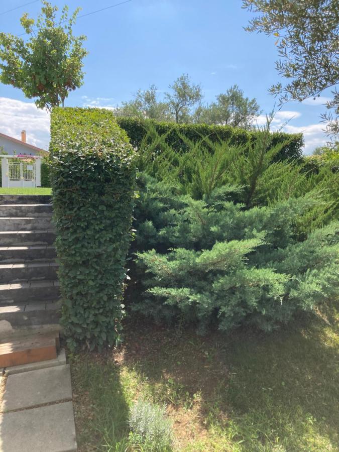 Torrevecchia Teatina Gioia In Collina Bed & Breakfast エクステリア 写真