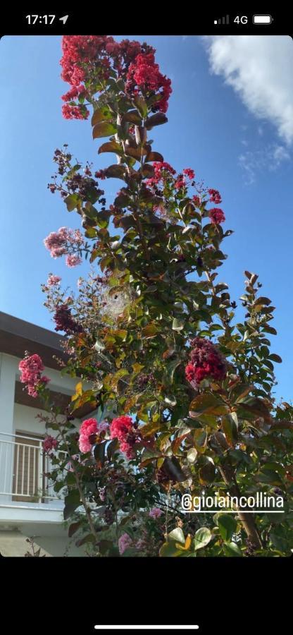 Torrevecchia Teatina Gioia In Collina Bed & Breakfast エクステリア 写真