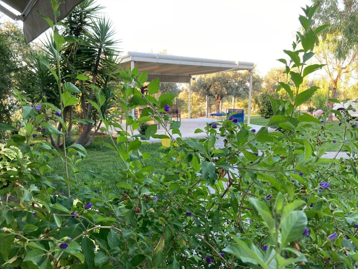 Torrevecchia Teatina Gioia In Collina Bed & Breakfast エクステリア 写真
