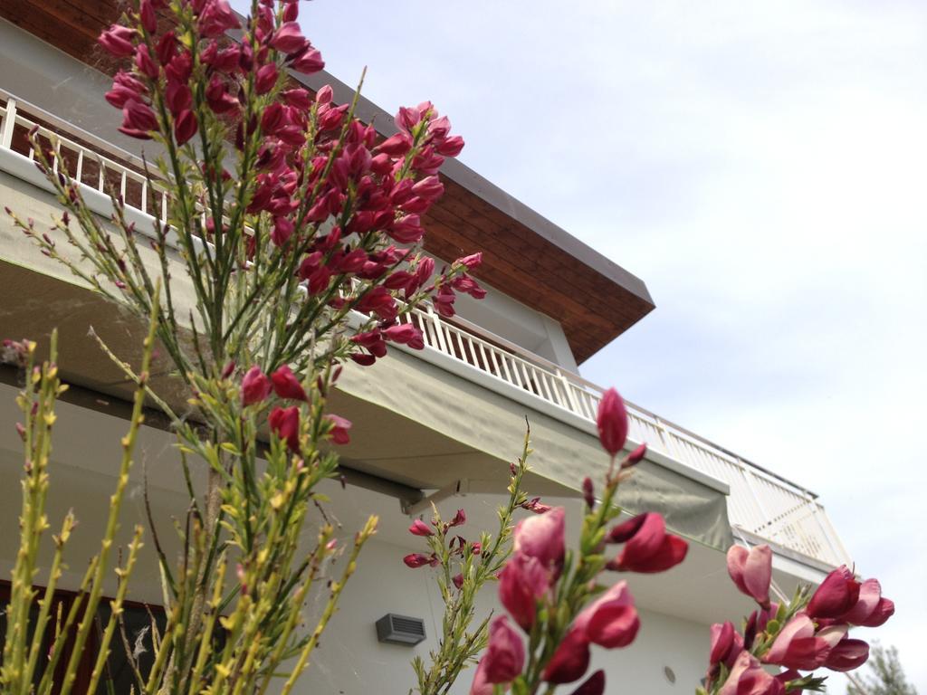 Torrevecchia Teatina Gioia In Collina Bed & Breakfast エクステリア 写真